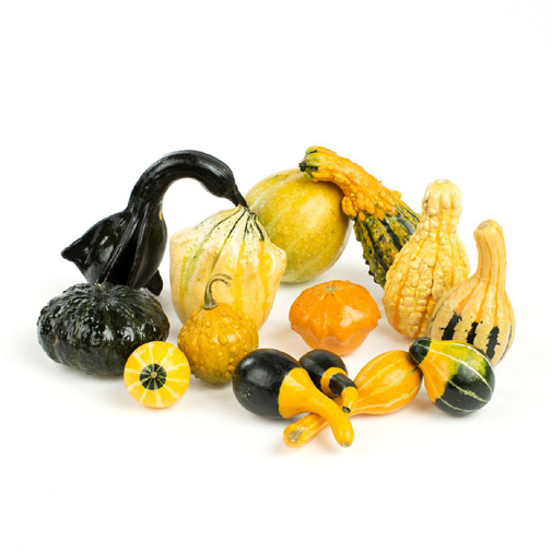 Assorted Gourds