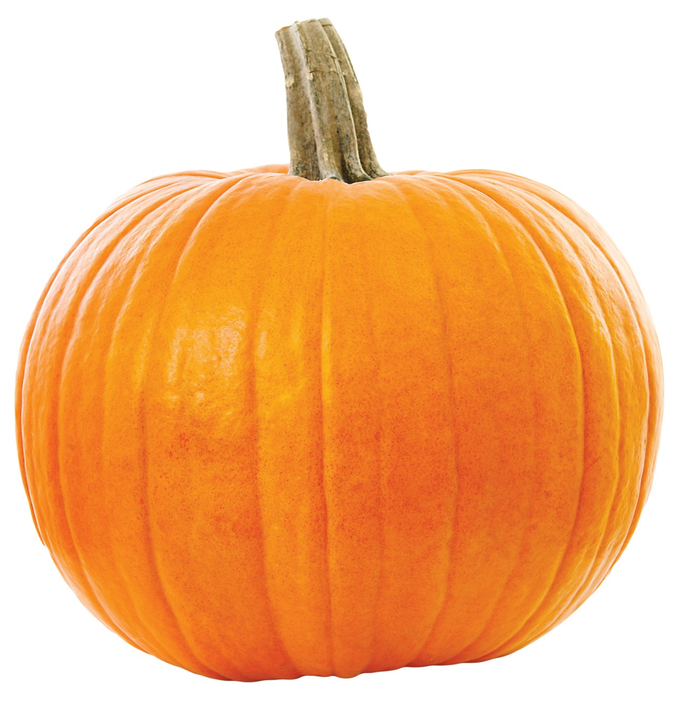 Pie Pumpkin